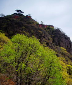 蟒山国家森林公园，蟒山公园门票多少钱一张
