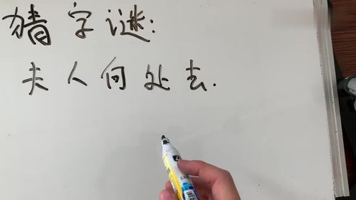 夫人何处去脑补出正确文字，夫人何处去打一成语
