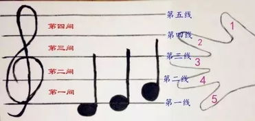 高音谱号五线谱图解，高音谱号上面有个8