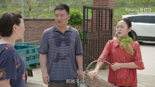 乡村爱情拼音怎么写的大写呀，乡村爱情的拼音大写字母