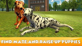 dalmatian dog，Dalmatian rivers