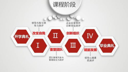 计算机网络课程设计 组建小型企业局域网