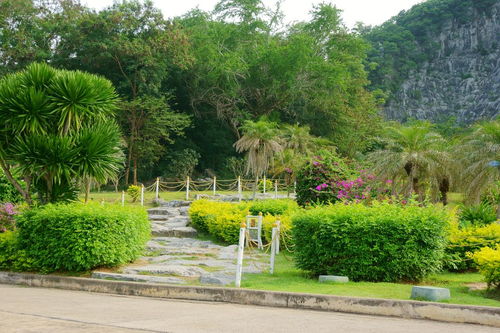 惠州植物园2020年要收费吗，惠州植物园是免费开放的吗