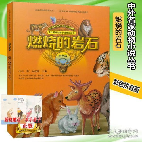 严实的拼音，岩石的拼音怎么拼写的
