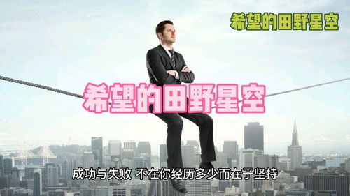 成功和失败的原因都有哪些?