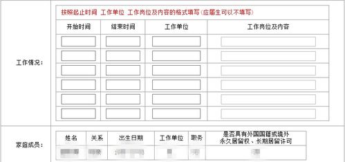 计算机应用水平怎么填?