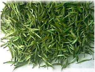 安吉白片茶是什么茶，安吉白片好还是白茶好
