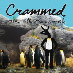 crammed翻译，crammed full of
