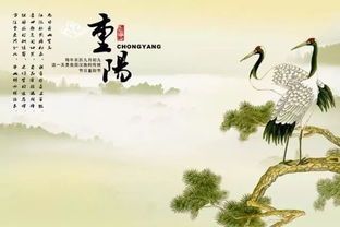 一剪梅·咏柳原文_翻译及赏析