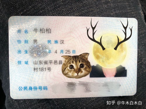 亢奋拼音怎么写的拼，亢奋拼音晦暗