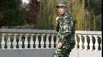 capf是什么意思部队，cap翻译