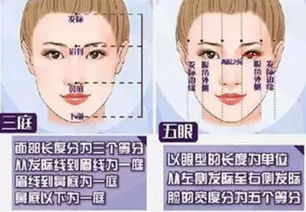 五官是什么