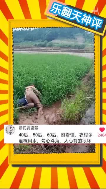 种的拼音怎么写