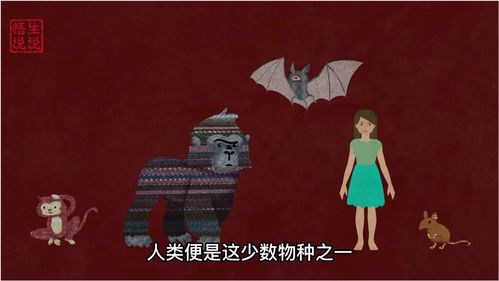 肃然起敬造句，肃然起敬的肃然什么意思