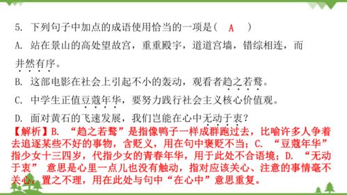 什么的狼词语有哪些成语大全?