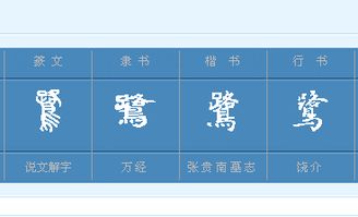 外组词有哪些