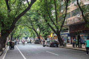 西华路属于哪个区，西华路到永庆坊