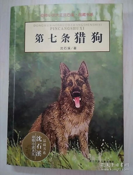 第七条猎狗第一章主要内容