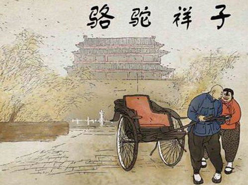 骆驼祥子主要人物介绍，骆驼祥子主题手抄报