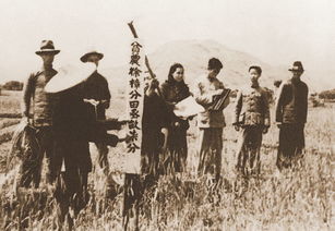 土地改革是哪一年
