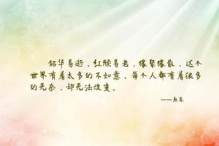 韶华是什么意思