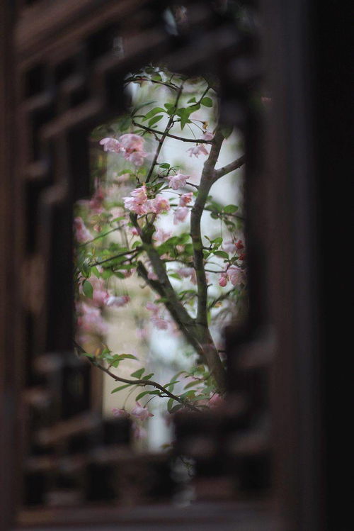 云从窗里出全诗，云从窗里出描绘了一幅什么图