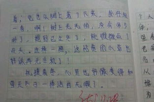 随笔日记600字初中5篇