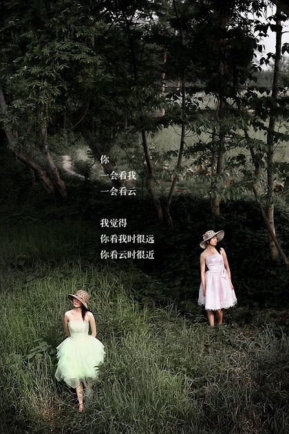 顾城的诗《远和近》