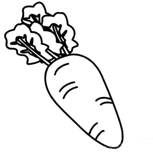 胡萝卜简笔画图片大全大图，胡萝卜简笔画图片彩色