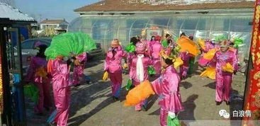 你家乡有哪些风俗习惯?
