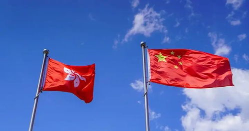 区旗和国旗的区别，区区扎纸匠,你却让我破大案 小说下载