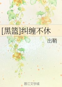 纠缠不清和纠缠不休,它们是一个意思吗?如果不是那是什么?