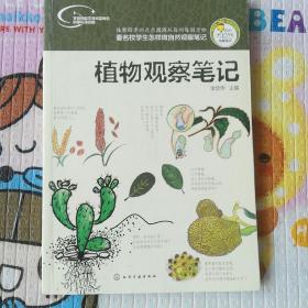 植物自然笔记手抄报