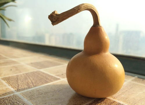 清兵卫与葫芦ppt，清兵卫与葫芦阅读答案