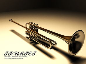 trumpeting，trumpeter