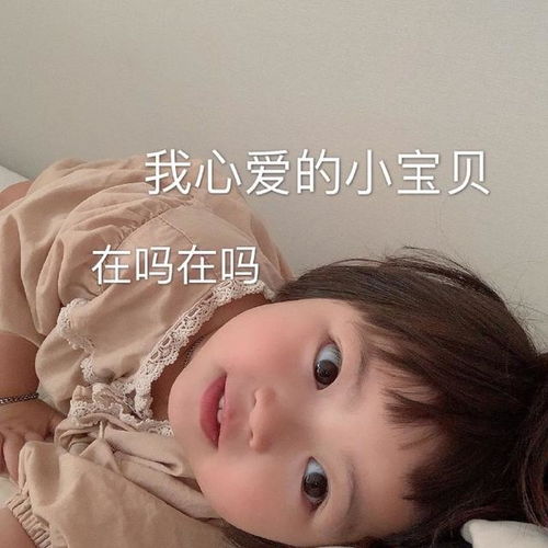 我心爱的宝贝作文