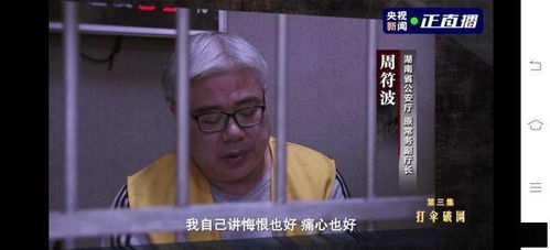 子击谢罪点击答案