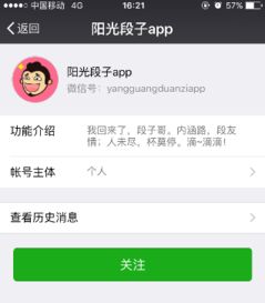 hush是什么意思，hse是什么意思