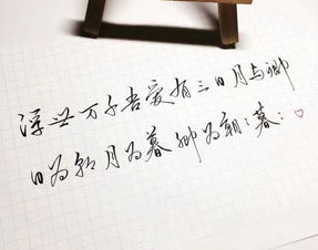朝暮是什么意思