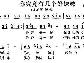 你究竟有几个好妹妹 歌词