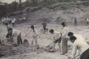 三线建设指的是哪三线