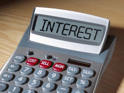 interest可数吗在感叹句中，interest
