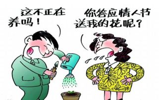 虚情假意是什么意思