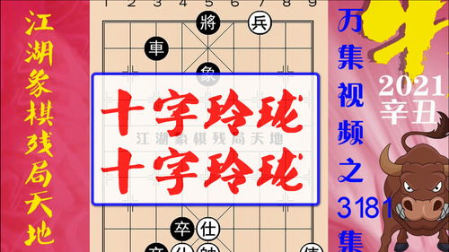 悖怎么读