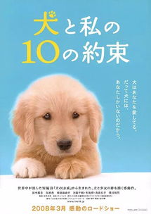 我和狗狗的10个约定,是哪十个约定?