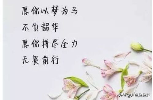 韶华是什么意思百度，只争朝夕,不负韶华是什么意思