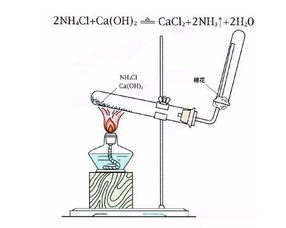 氯化铵和氢氧化钙反应棉花的作用，氯化铵和氢氧化钙反应装置图
