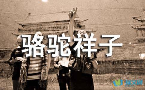 骆驼祥子1～4章的读后感200字?