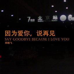 你的爱不离不弃歌词，赞美诗歌不离不弃歌词