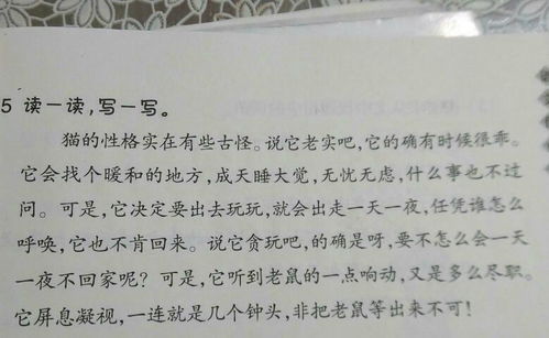 针对的近义词和反义词，珍贵的近义词